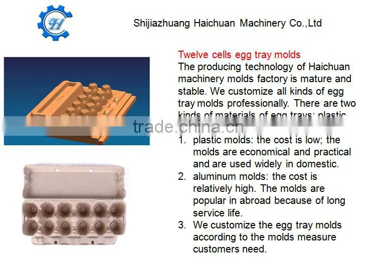 30 holes plastic Egg Trays mold