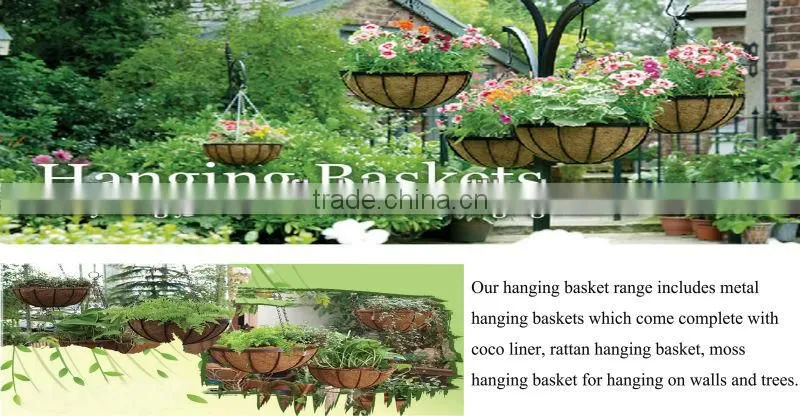 Hanging Basket
