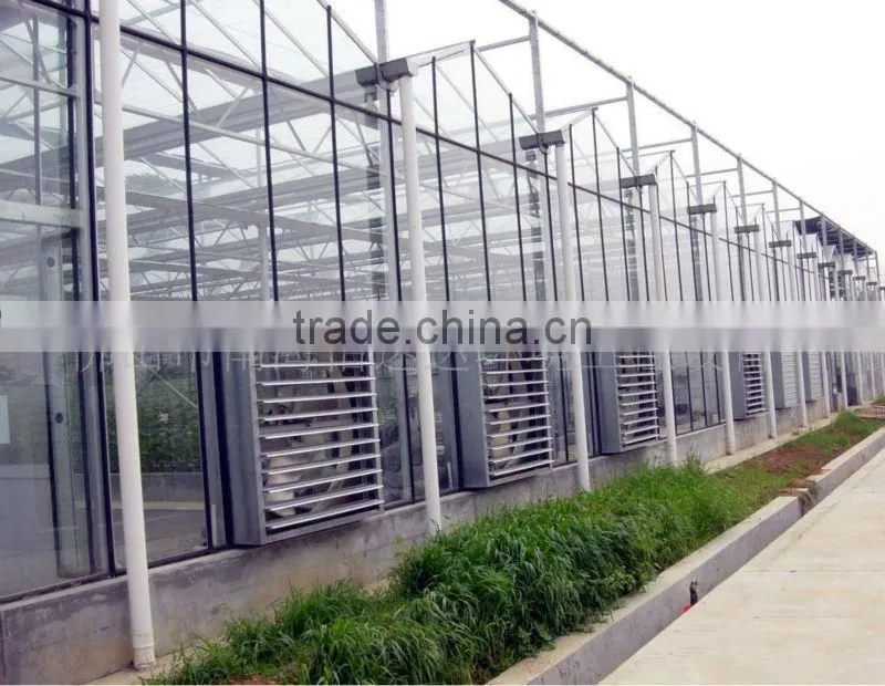 Stainless Steel Blade Industrial Axial Ventilation Fan