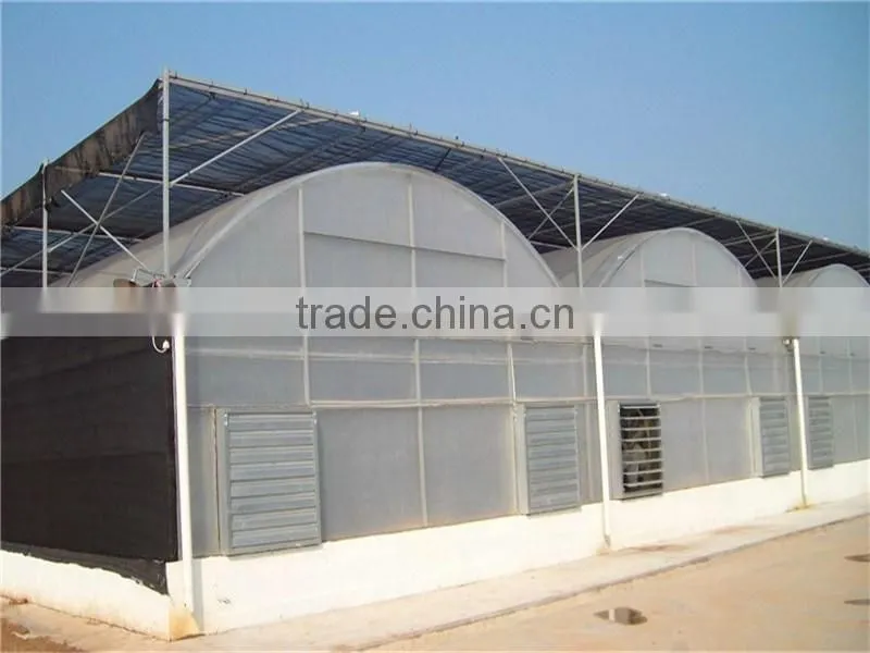 Mechanism roll up ventilation film greenhouse