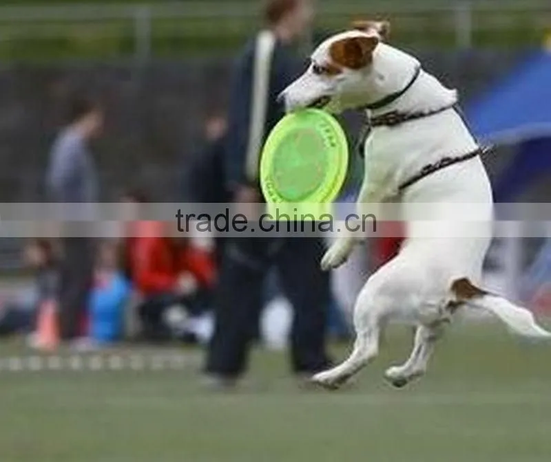 9 inch professional frisbee