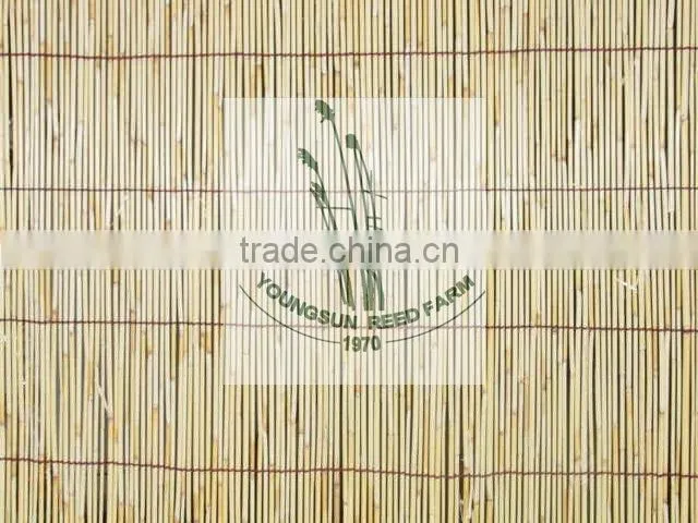 reed fence