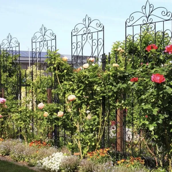 image (93).png