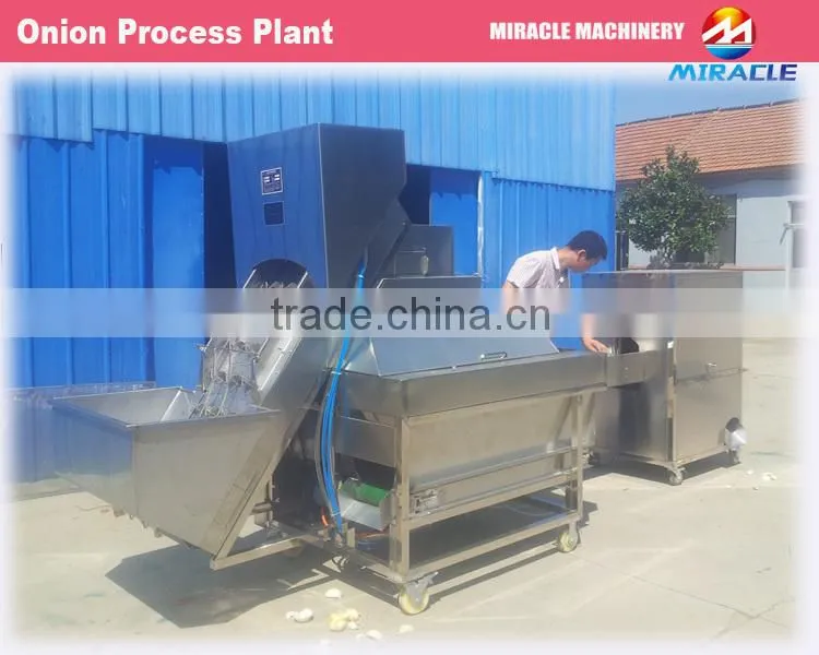 Fresh onion skin removing machine also named onion peeler machine