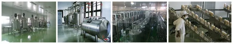 Small Scale Dairy Production Line / Yogurt Making Machine