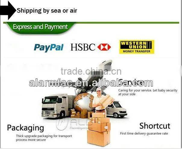 Wireless gsm mini IP camera support iPhone, ipad, Android phones(YL-IPC401B)