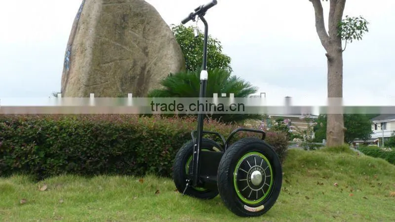 2013 new model with remote controller Zero-emission electric chariot(SKD-SG01,SKD-SG02)