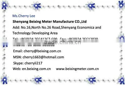 QZL Gaseous mass flow meter/Gas flow meter