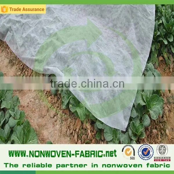 High Quality Polypropylene Agriculture Fleece Spunbond Nonwoven Fabric