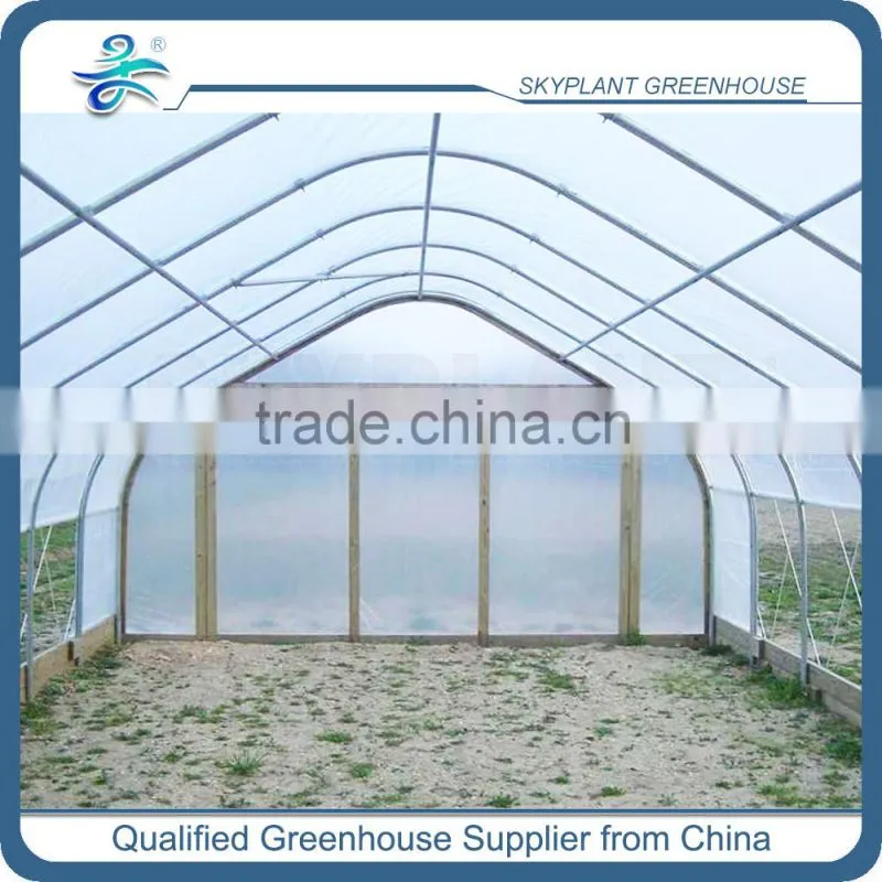 Single Span Tunnel Plastic Film Greenhouse