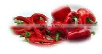 100% Pure & Natural Capsicum Oleoresin GMP / ISO