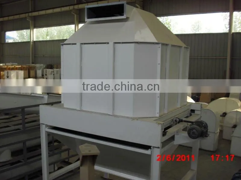 Longchang chicken feed line