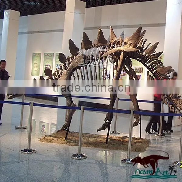 Life Size Dinosaur Fossil For Sale Inside Exhibition Display