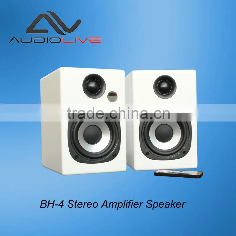 outdoor subwoofer 100w Professional infinity D10 Monitor Subwoofer Speaker