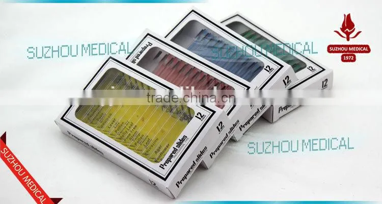 Plastic Prepared Slide Set of 12 for children microscope