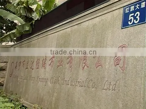 Haining Lida Warp Knitting Cloth Industrial Co., Ltd. company overview - view 1