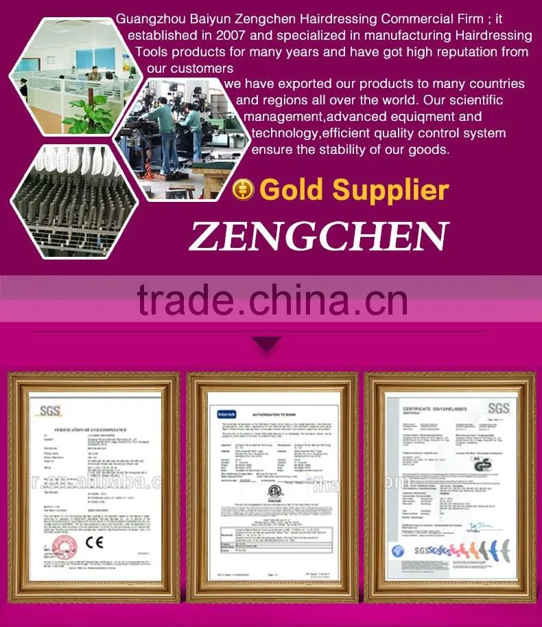 ZENGCHEN HAIRDRESSING(9 years factory)high quality silver metal Key tube squeezer toothpast squeezer
