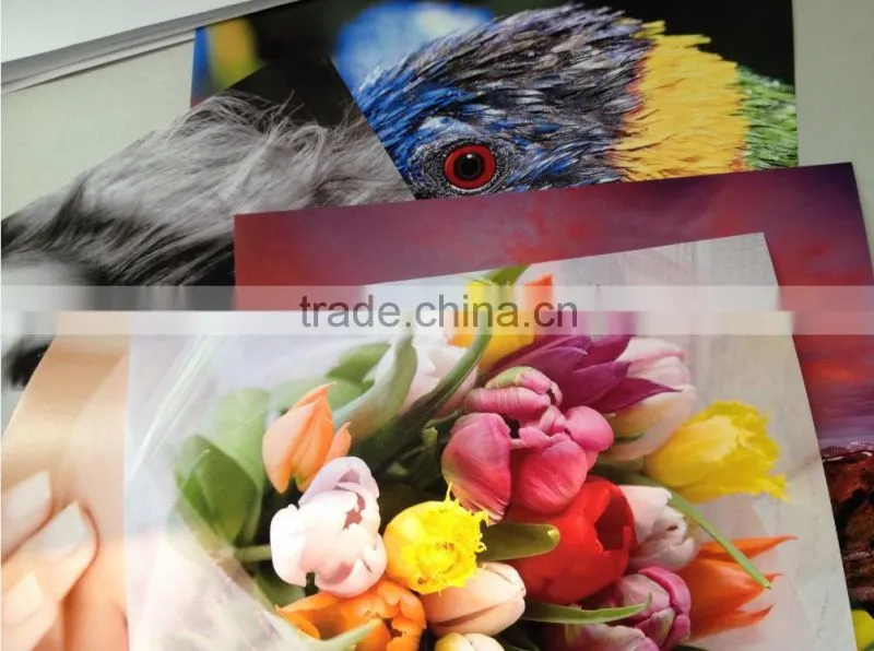 RC Roll Photo Paper waterproof, 240g, 0.203m,0.254mX30.5m,101m