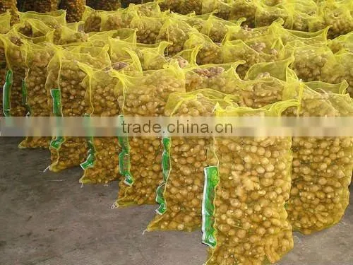 chinese fresh ginger