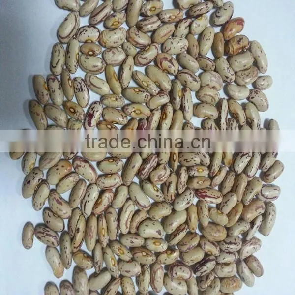 White kidney bean for sale