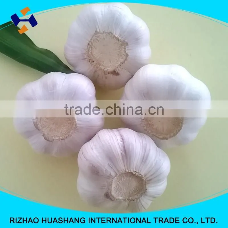 red fresh garlic size4.0cm