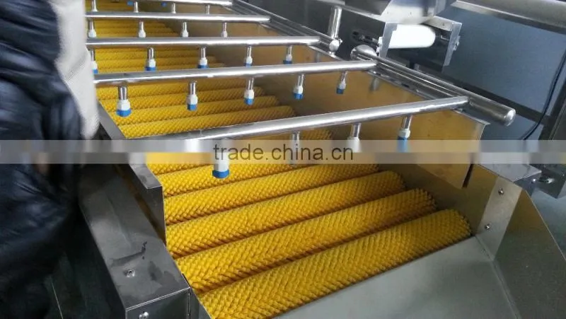 Full Automatic Industrial Vegetable And Fruit Washing Washer and Drying Dryer Machine