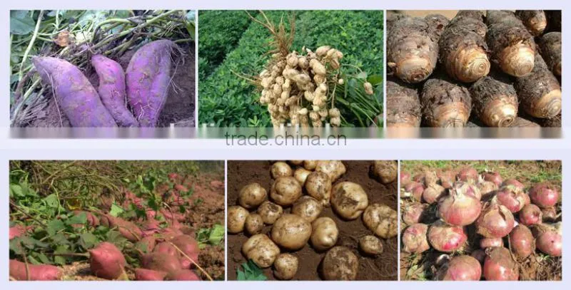 hot sale potato harvester for walking tractor 0086 15838061756