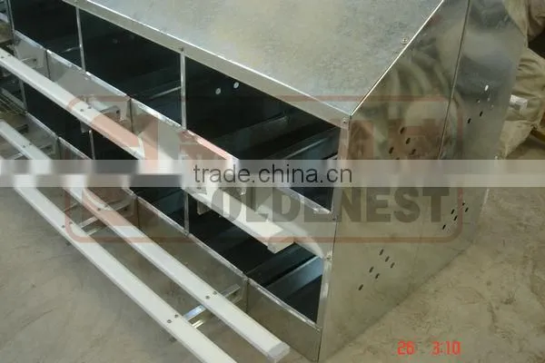 manually egg picking nest