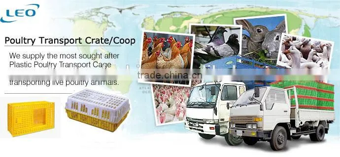 heavy duty HDPE chicken transport crate cage coop
