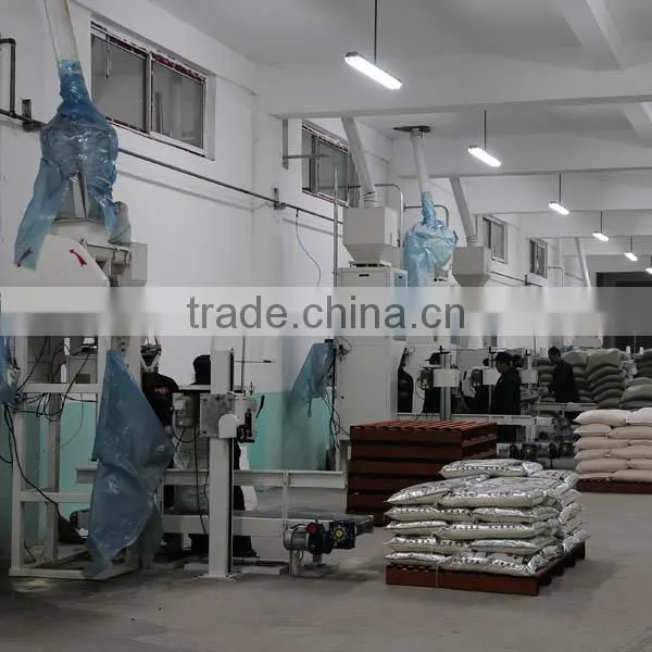 2016 Hot sale maize meal packaging machine