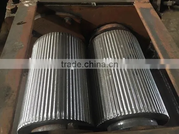 double roller compaction granulator manufacturer