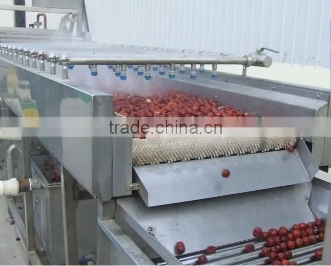 Fruit Vegetable Orange Lemon Brush Roller Washing Machine Washer