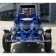 TK250GK-6 250cc electric go karts sale