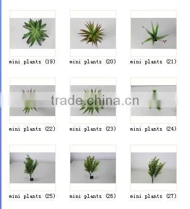 CHY040920 Selling Artificial Plants Succulent tropical Plant Artificial Desert Plants