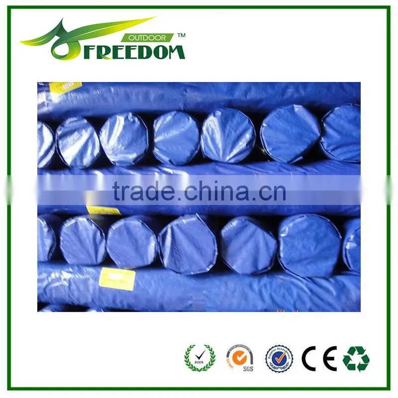 Excellent bule tarps for coverings