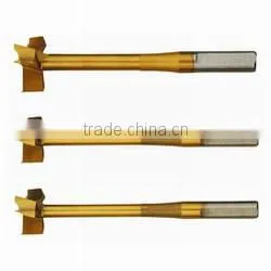 Multi-Angle Drill Bit