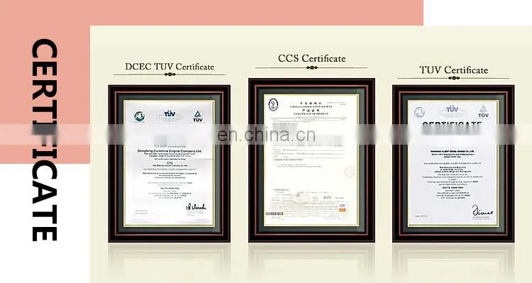certificate.jpg