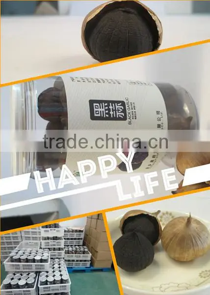 2016 black garlic for export
