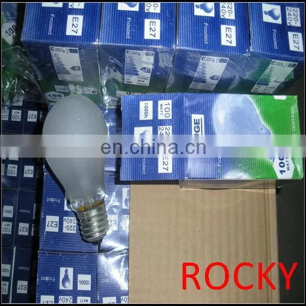 E27 B22 40w 60w 100w 220V clear light bulb
