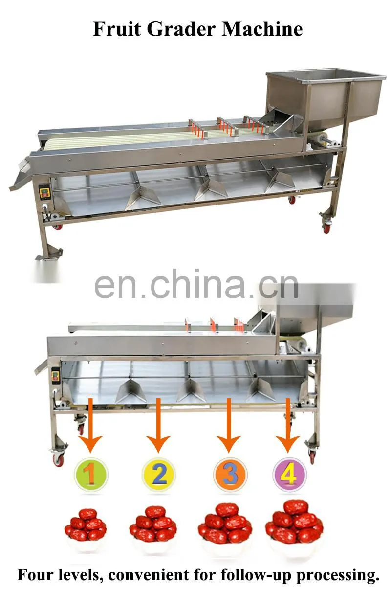 Automatic sorter citrus fruits vegetable size sorting grading machine for dates olive apple