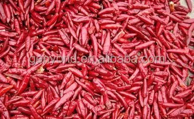 Best Selling Red Chilli Drying Machine /fruit Drying Machine