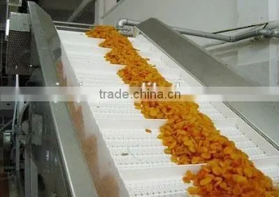 Flat Stainless Steel Food PVC Belt Conveyor Factory