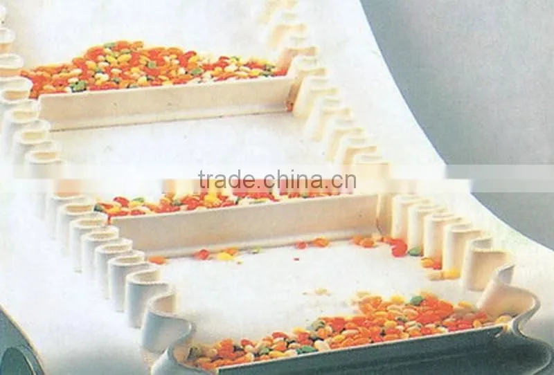 Stainless Steel Fruit Belt Conveyor Price