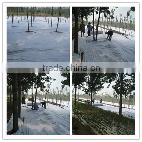pp nonwoven geotextile