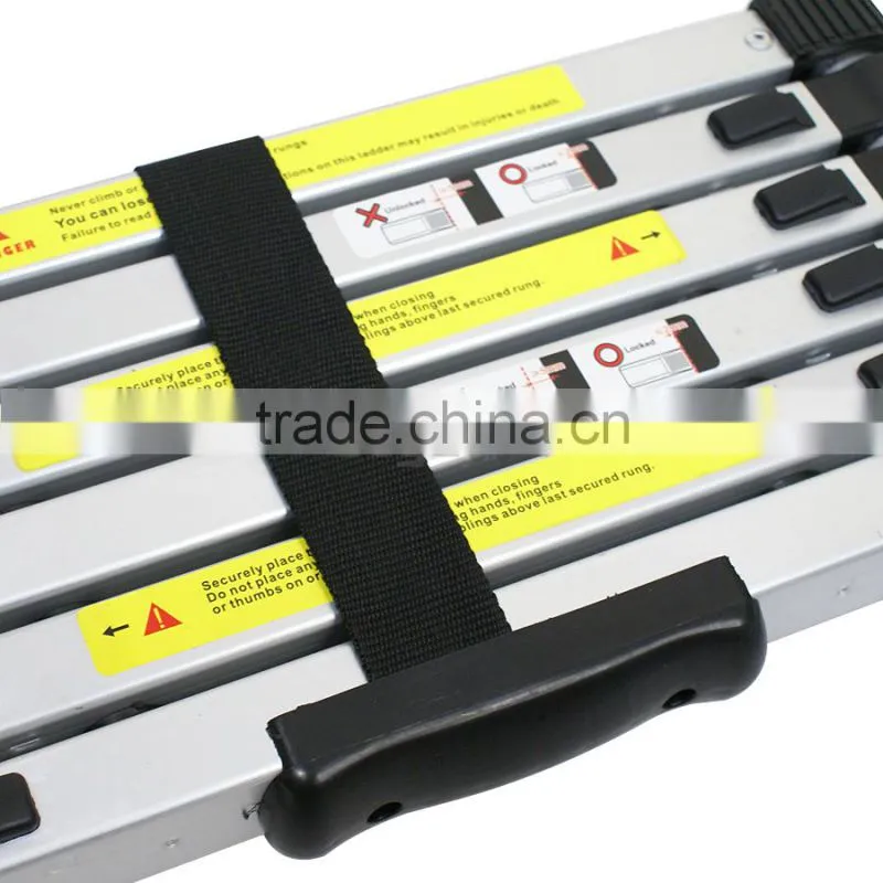 Extension Telescoping Aluminum Ladder WorkSite Required Work