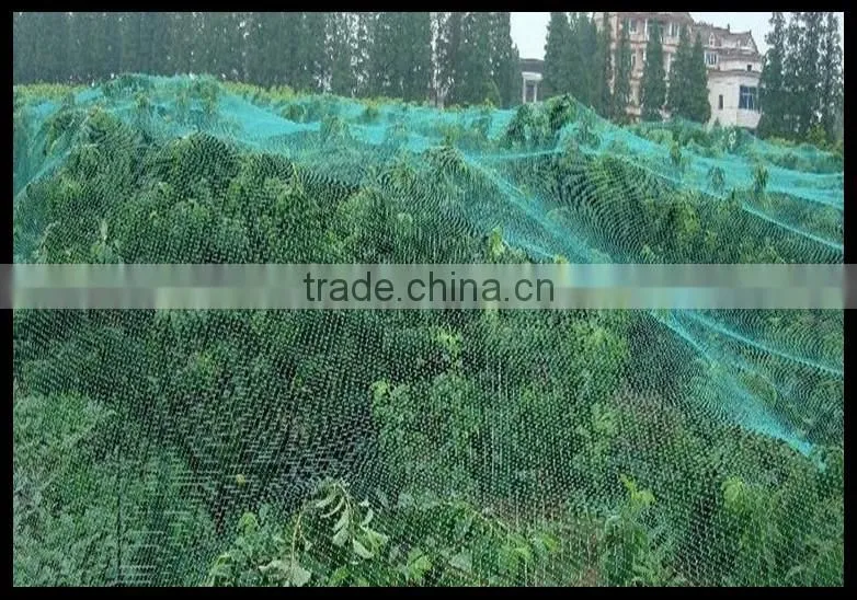 Economy Anti-bird Nets For Crop Protection
