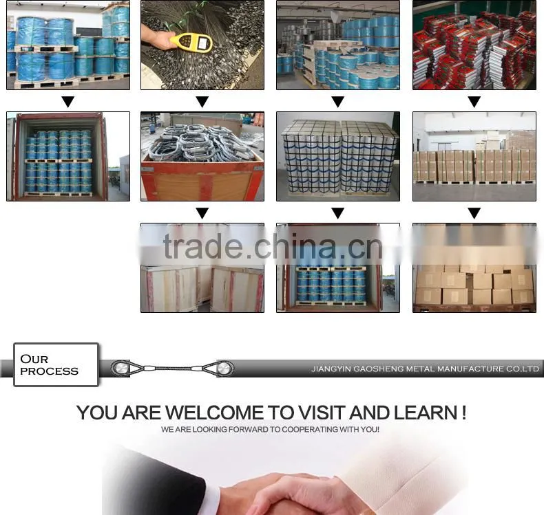High Quality Best Supplier Steel Wire Rope Cable seal lock