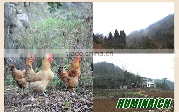 FAQ 21--Huminrich Sodium Humate Role As Feed Additive For Chicken