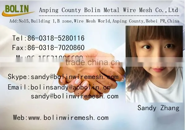 20 40 60 80 100 150 200 Mesh Pure Silver Mesh/Silver Metallic Mesh Screen