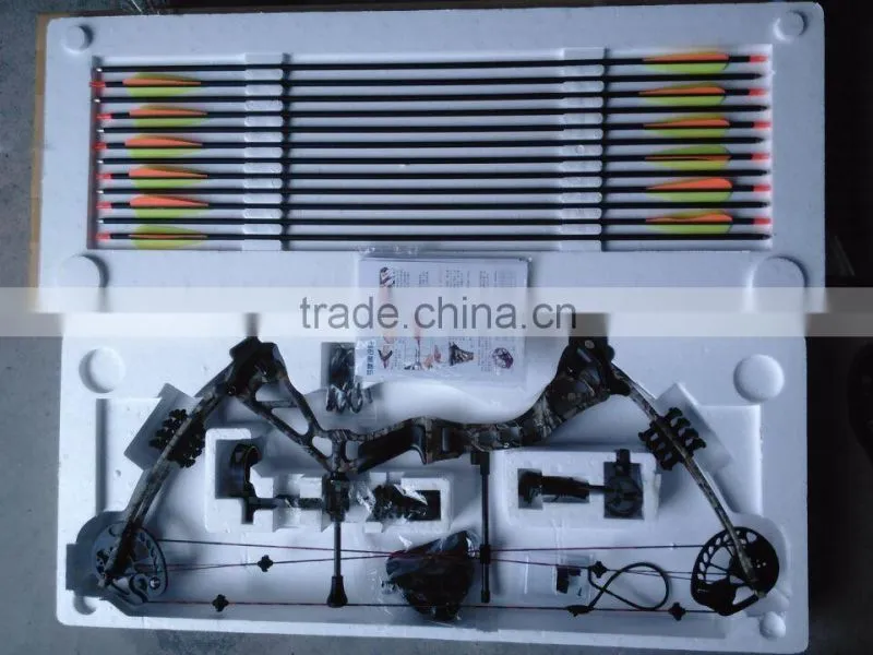 China Archery 310fps Compound Bow for Sale